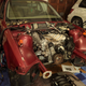 Illustration for article titled The engine and trans are in the ls1 e36!